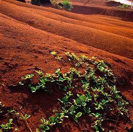 40系显卡DLSS 3将获升级 帧数更高、显存占用更低